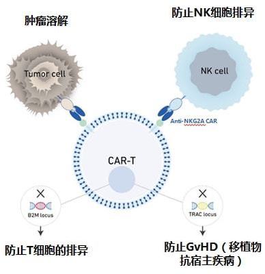 實體瘤CAR-T的破局者 科濟藥業李宗海談全球研發進展、海外布局與下一代技術